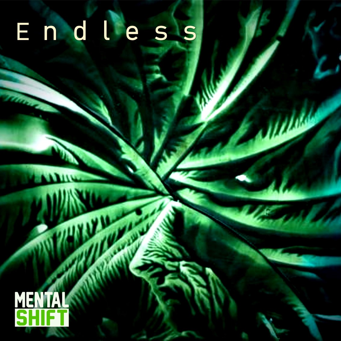Artwork of Endless by Mental Shift